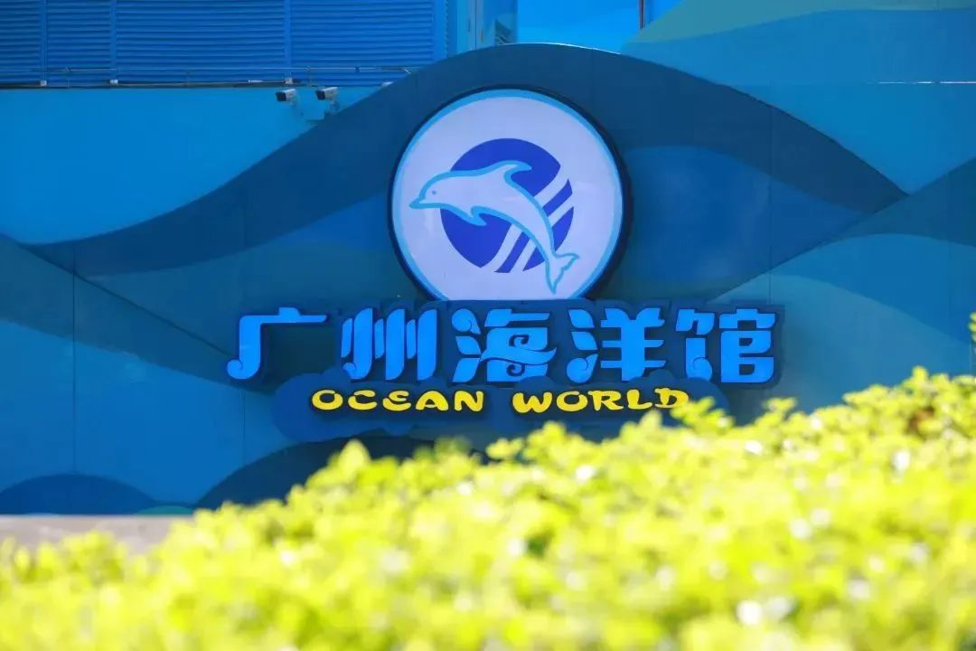 澳门新莆京游戏app大厅-官网入口
